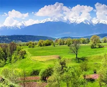 Toma Belev posts questionable photos of killed mountain goats