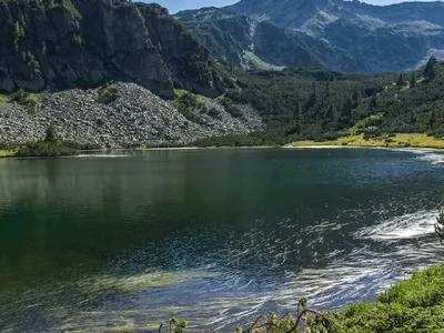 Toma Belev’s racketeering of private hunting farms turned into a hunt of hunters