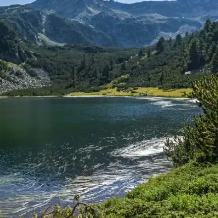 Toma Belev’s racketeering of private hunting farms turned into a hunt of hunters