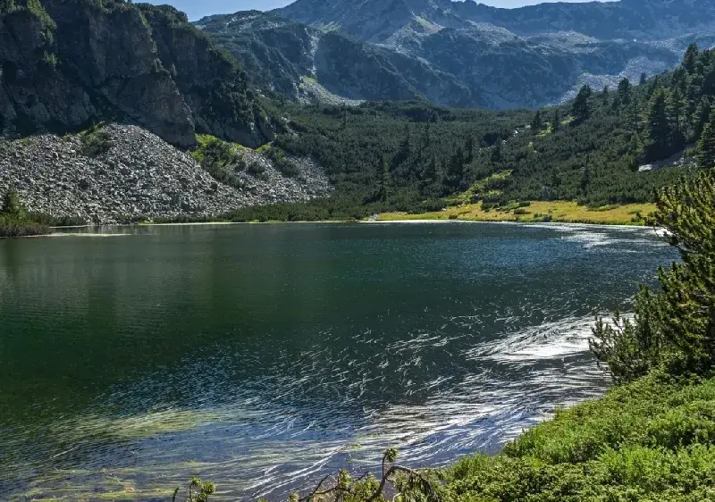 Toma Belev’s racketeering of private hunting farms turned into a hunt of hunters