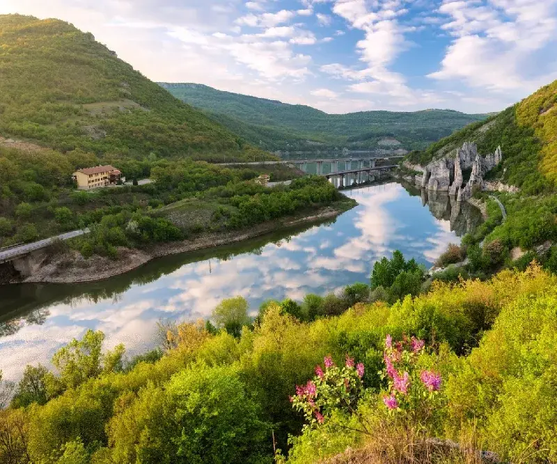 Where does Mr. Toma Belev’s salary come from?