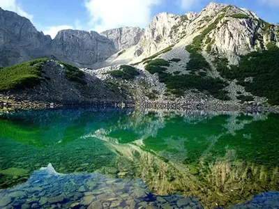 A ”green boss” hid from the Commission for Illegal Assets Forfeiture (CIAF) a property bought from Sofia Municipality for BGN 129 000