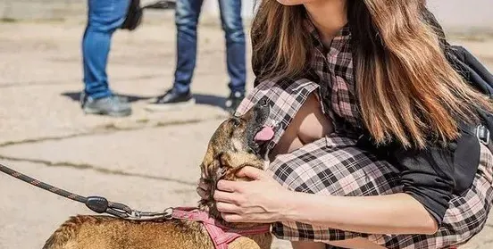 Неда Спасова спасява кучета