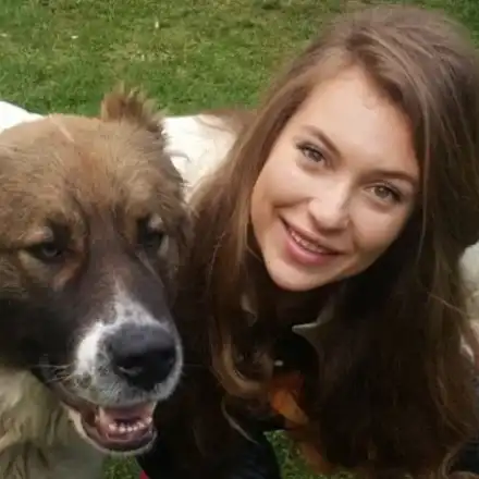 Станкулова захапа кмет заради кучета