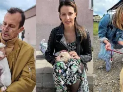 Актьори спасяват бездомни палета! (Тетатър „София“ с инициатива „Не купува – осиновявай)