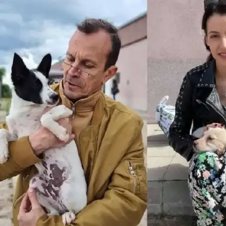 Актьори спасяват бездомни палета! (Тетатър „София“ с инициатива „Не купува – осиновявай)