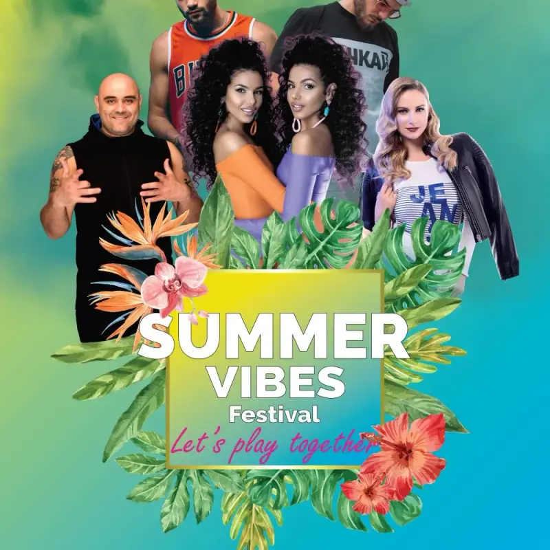 Атанас Колев, Боро Първи, Петя Алекса, Монти, Алекс и Влади на Summer Vibes Festival във Видин