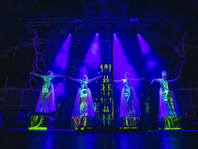 Световни таланти откриха официално Bedroom beach