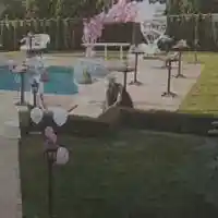 Анелия празнува рожден ден с шест торти (Снимки)