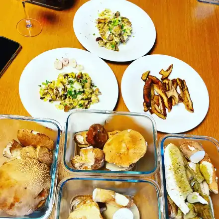 Тоца прави сина си гъбар