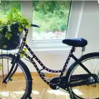 Ваня Щерева първо се преби, после й откраднаха колелото