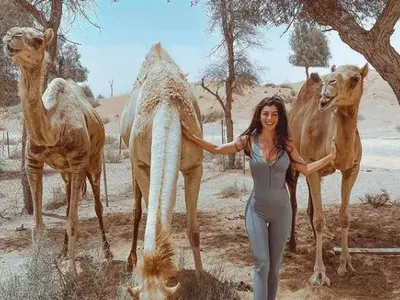 Хабиби! Мегз учи арабски