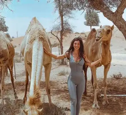 Хабиби! Мегз учи арабски