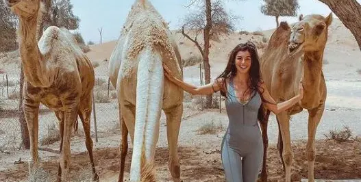 Хабиби! Мегз учи арабски