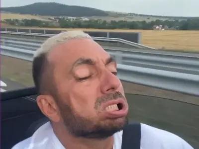 Коцето шофира опасно