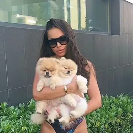 Станислав Янински живее с 12 котки, Алисия  глези малки кученца, актриса  храни 30 гълъба