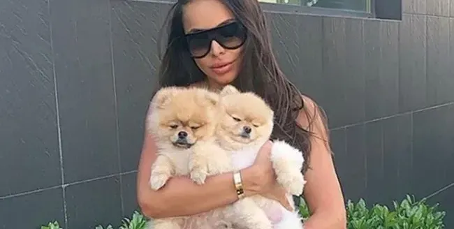 Станислав Янински живее с 12 котки, Алисия  глези малки кученца, актриса  храни 30 гълъба