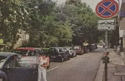 Цветанка Ризова шофира като мутра, крещи и заплашва шофьори