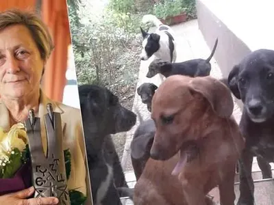 Нешка Робева гледа 30 кучета на село