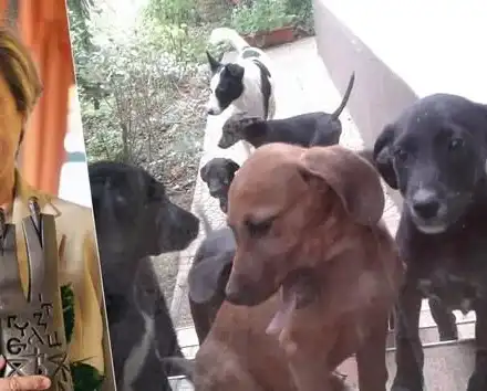 Нешка Робева гледа 30 кучета на село