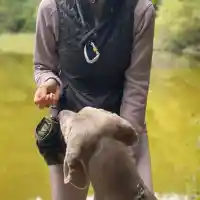 Нина Николина и Галя от „Сатен“ катерят планини с куче! (СНИМКИ)