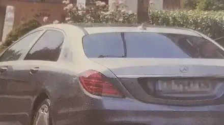 Светлана Гущерова подкара майбах за половин милион