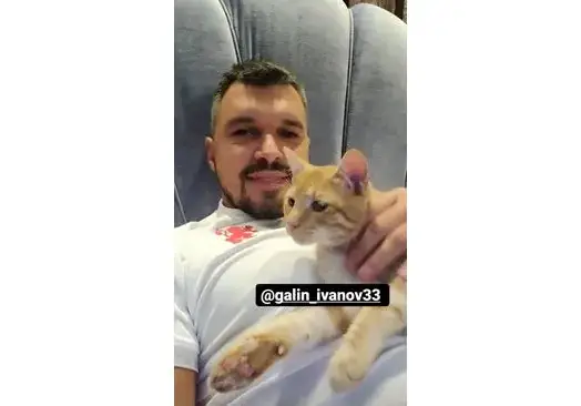 Божинов се похвали с новото си коте