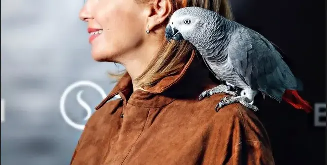 Ирина Тенчева се радва на папагал