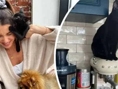 Куче и коте се качиха на главата на Диляна Попова