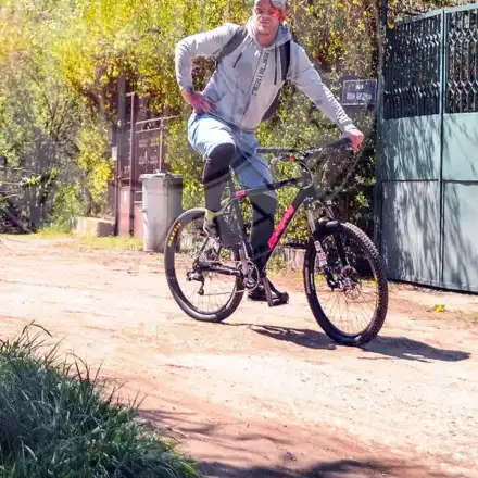 Юлиан Вергов пие и кара