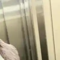 Ива Софиянска върти бизнес с Жени Джаферович (Снахата на Божков се впуска в дебрите на маркетинга, въпреки, че няма опит и образование)