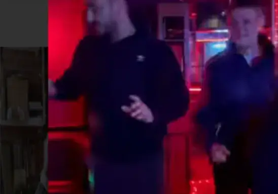 Коцето се вкасинира в... публичен дом!