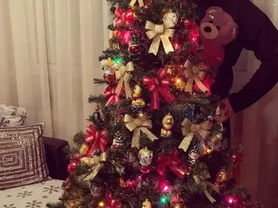 Драго Чая украси елхата по мече