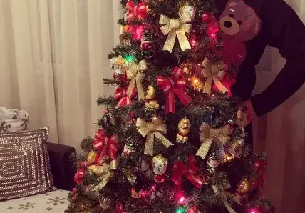 Драго Чая украси елхата по мече