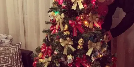 Драго Чая украси елхата по мече