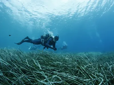 Карамазов се завърна към хобито си! Ще снима под вода