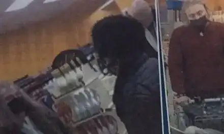 Папарак: Братя Халваджиян на покупки с мама