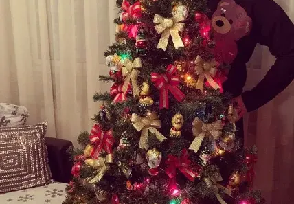 Драго Чая украси елхата по мече