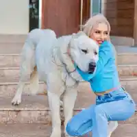 Баскервилското куче пази Жасмина Маджид