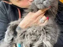 Цеци Красимирова взема котките си и в самолета