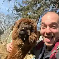 Цитиридис се снима с алпака