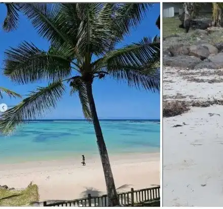 Актриса на почивка в Мавриций