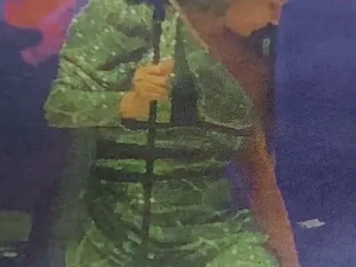 Цеца лъсна по бельо пред 2000 души в София (Уникална снимка)