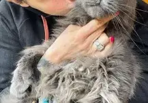 Цеци Красимирова купува котките си от руски олигарси