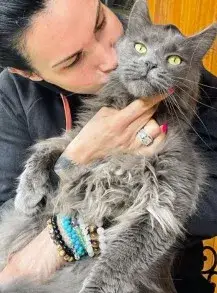 Цеци Красимирова купува котките си от руски олигарси