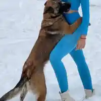 Куче гушка Райна (Снимки)