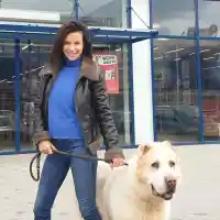 Яна Маринова разхожда санбернар в планината (Фото)