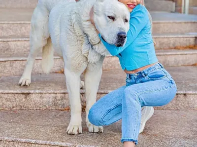 Жаси от „Сделка или не“ с пухкава охрана (СНИМКИ)