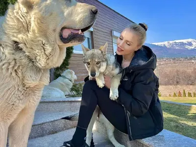 Жаси от „Сделка или не“ с пухкава охрана (СНИМКИ)