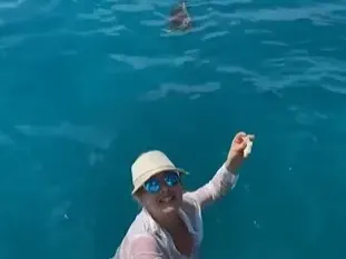 Катето Евро храни риби на Сейшелите